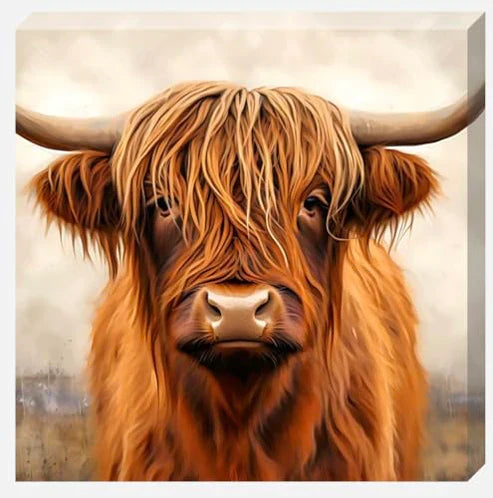 Brown Solo Highland Cow In Field Canvas