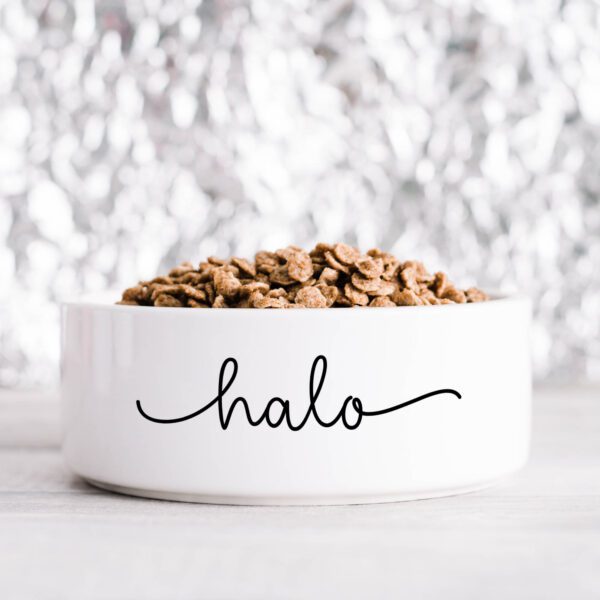 Fancy Name Personalised Pet Bowl
