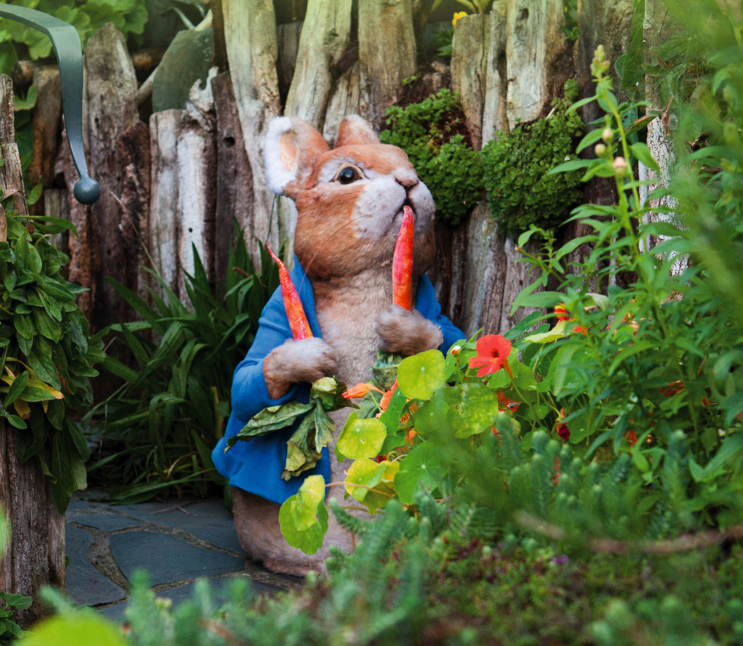 The World of Beatrix Potter for Two