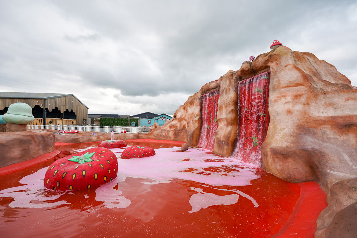 The Ice Cream Farm Entry With Ten Play Pass For A Family of Four