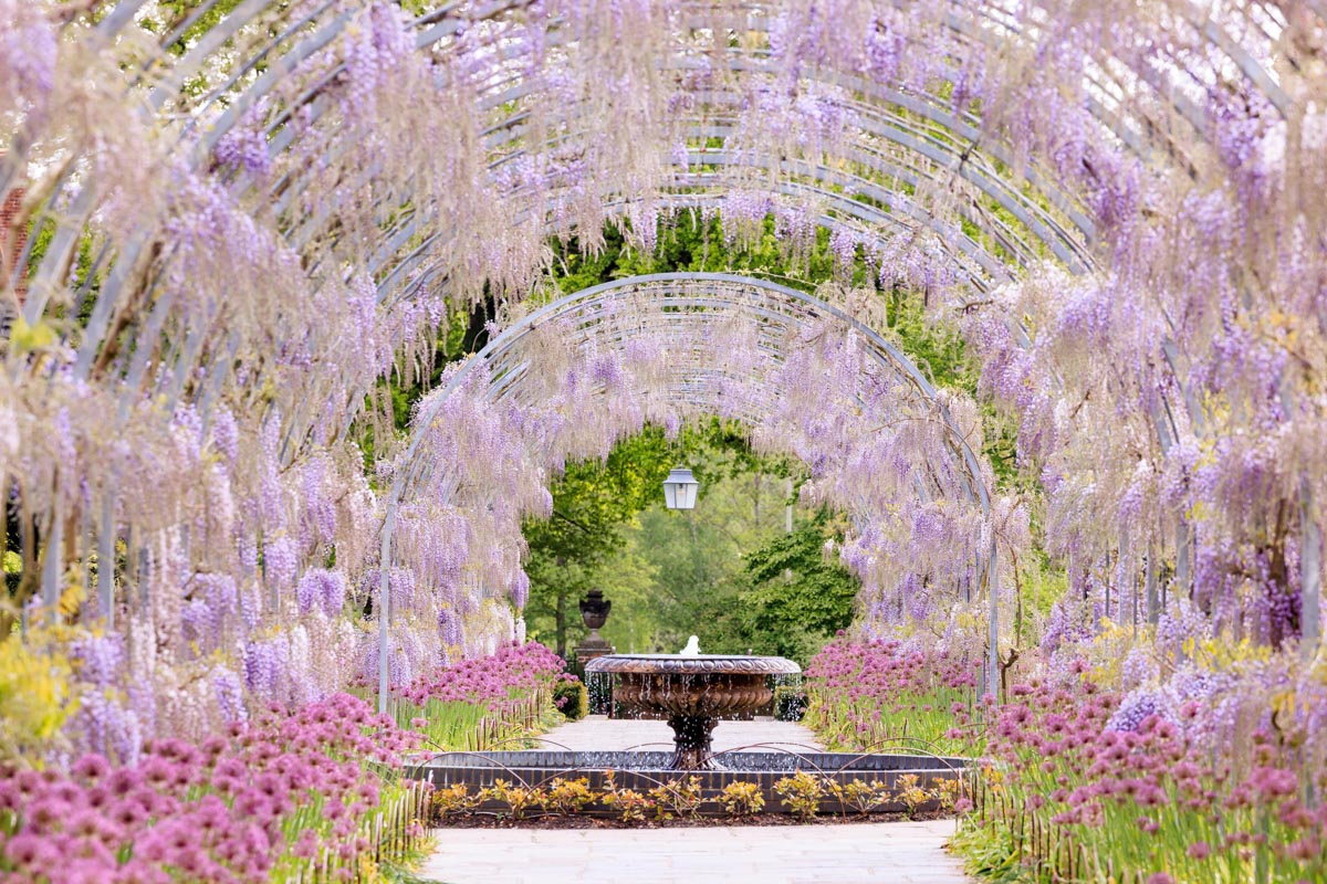 Visit to a RHS Garden for Two