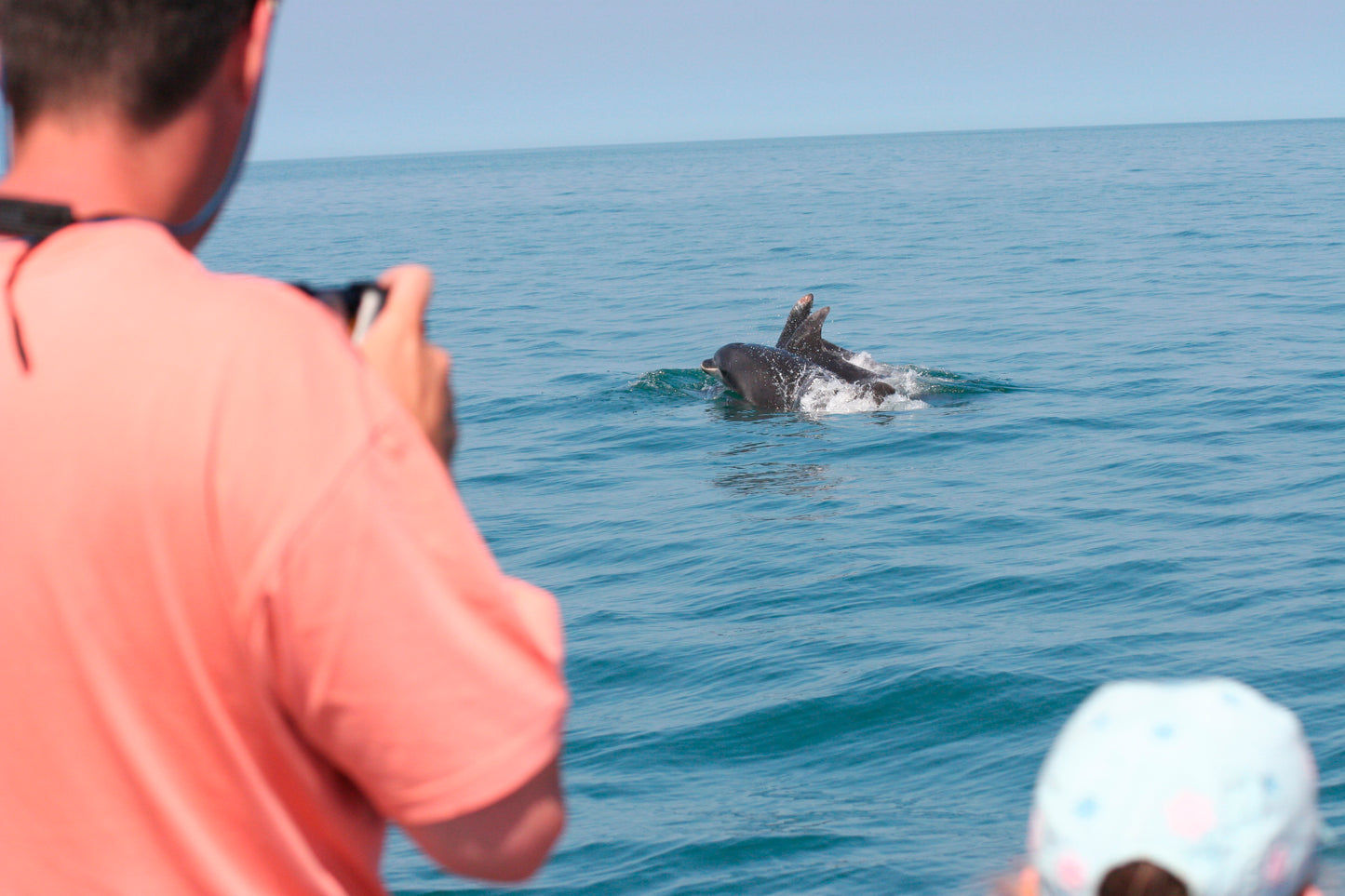 Dolphin Watching For Two