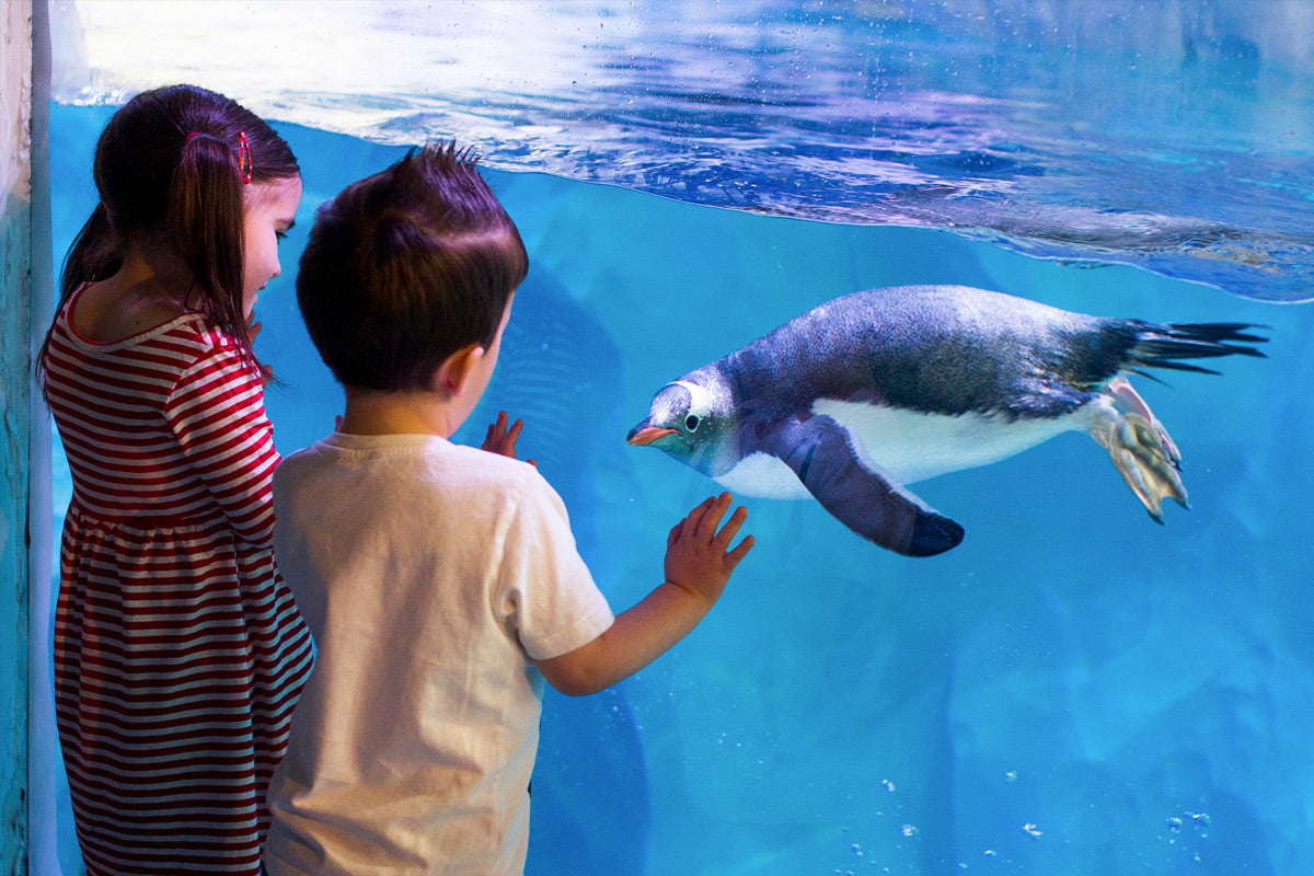 Virgin Experience Days - Fun For The Family Collection