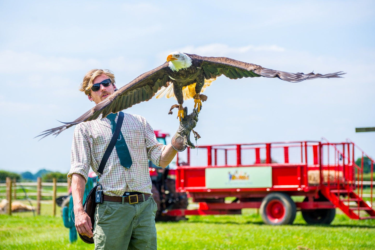 Falconry Taster for Two