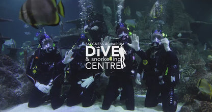 Skegness Aquarium Dive With Sharks